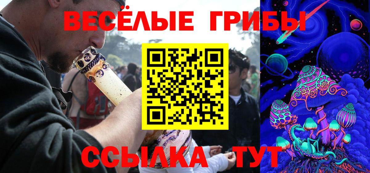 купить наркоту  Галлюциногенные грибы Psilocybine cubensis  Вход с VPN  Юрга  Псилоцибиновые грибы Psilocybine cubensis 